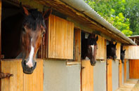 free Swinmore Common stable construction quotes
